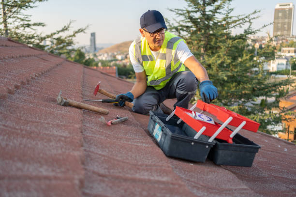 Best Demolition Debris Removal  in Williams, CA